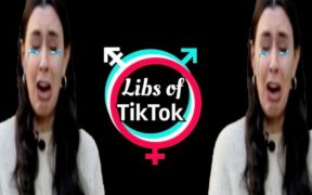 Libs of Tik-Tok