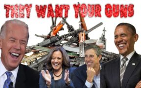 They Want Your Guns