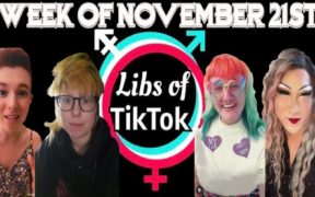 Libs of Tik-Tok: Week of November 21st