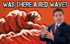Was there a Red Wave?