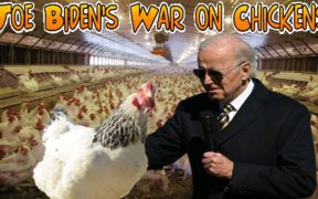 Joe Biden’s War on Chickens